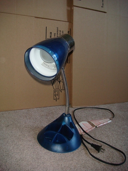 lamp bule.JPG