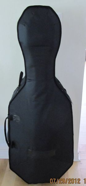 cello case.jpg